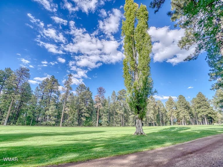 7060 Country Club Dr photo 5